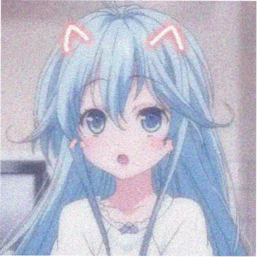 读者沈迟头像